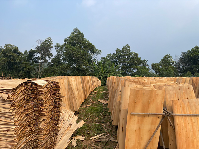 Xuất khẩu gỗ Việt Nam