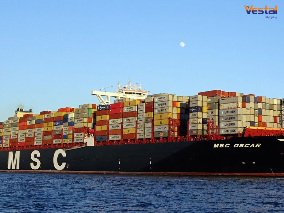 Hình ảnh hãng tàu MSC