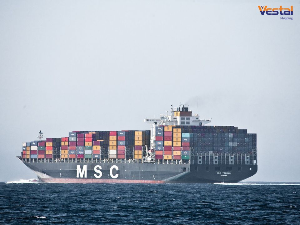 Hãng tàu MSC trong ngành vận tải container toàn cầu
